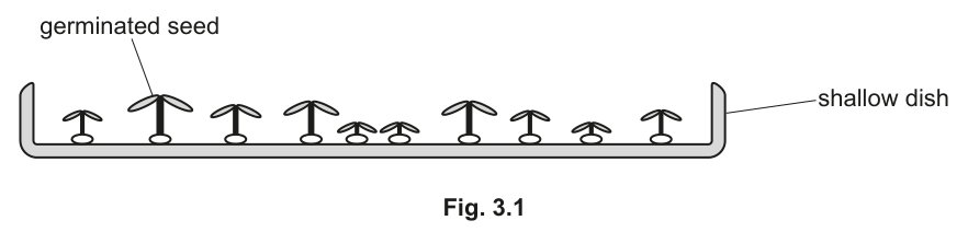 Fig. 3.1