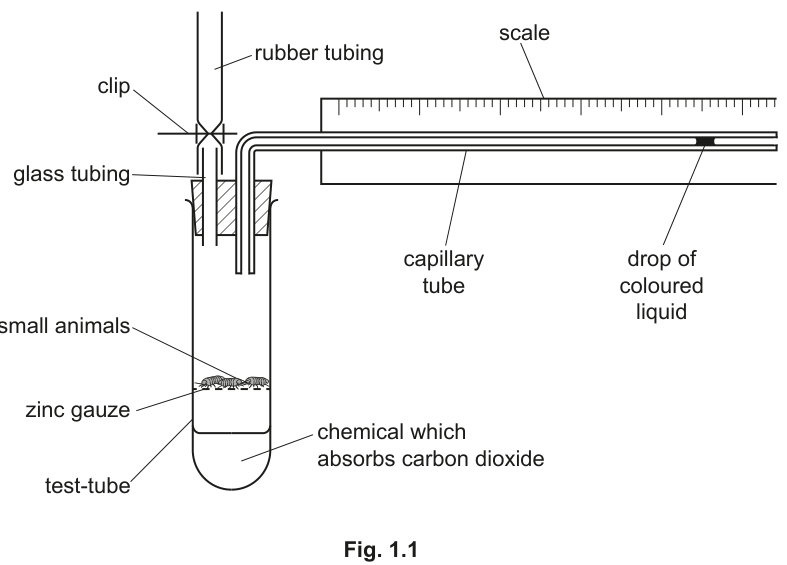 Fig. 1.1