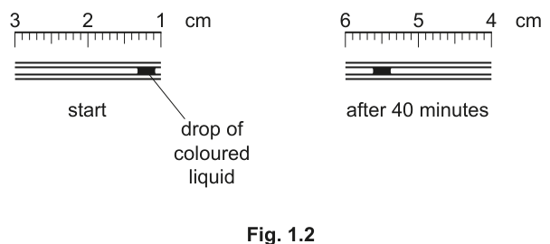 Fig. 1.2