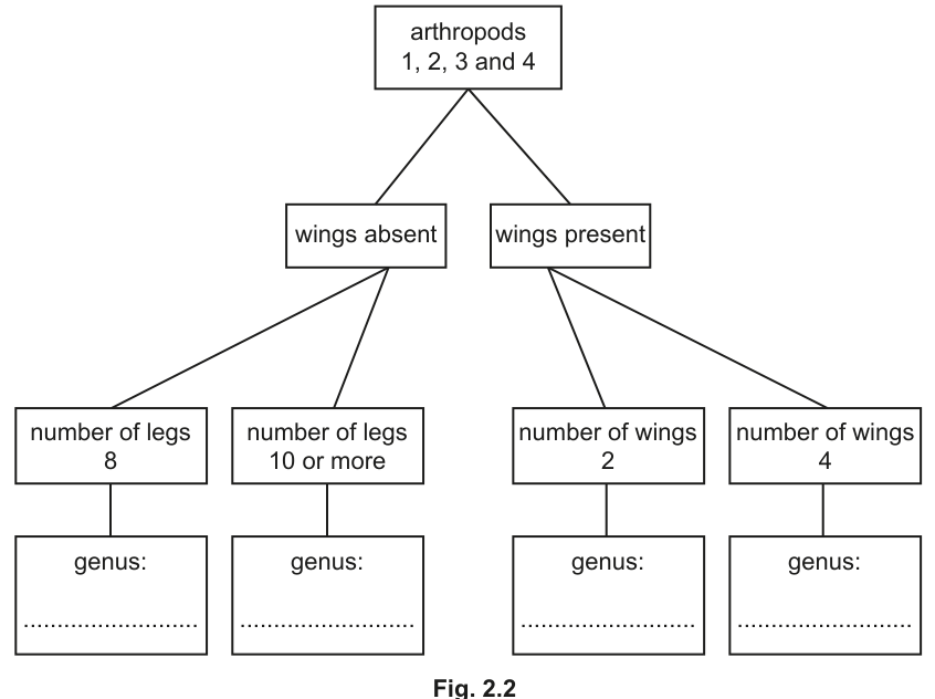 Fig. 2.2