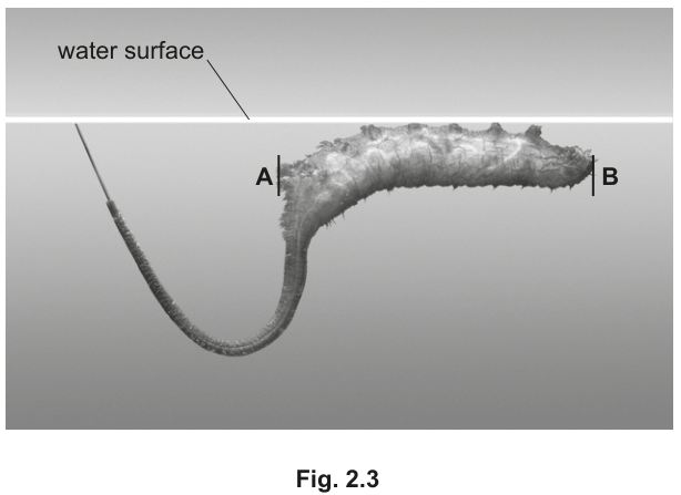 Fig. 2.3