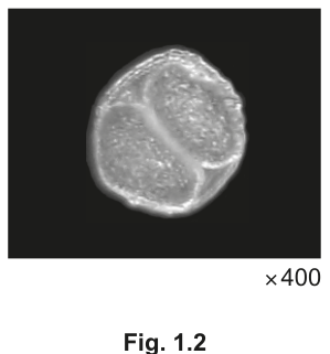 Fig. 1.2