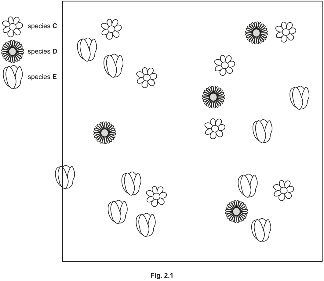 Fig. 2.1