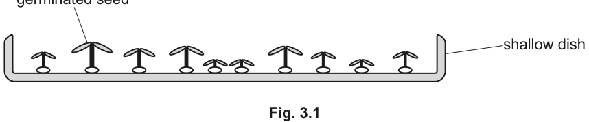 Fig. 3.1