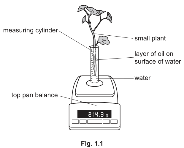 Fig. 1.1