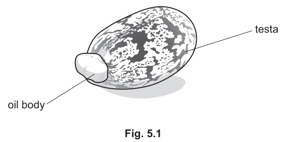 Fig. 5.1