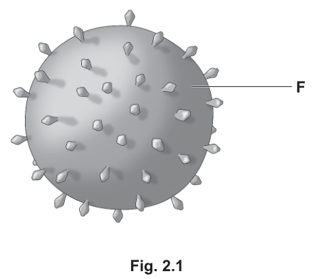 Fig. 2.1