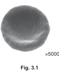 Fig. 3.1