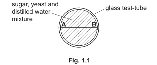 Fig. 1.1