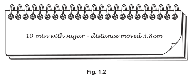 Fig. 1.2