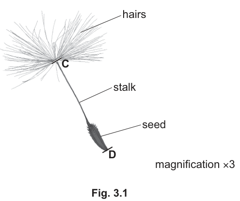 Fig. 3.1