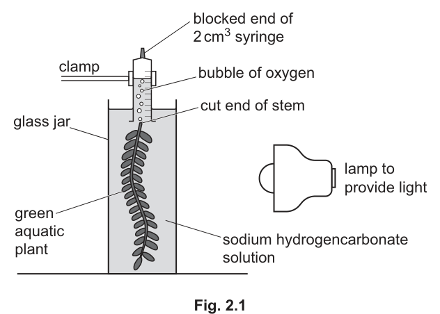 Fig. 2.1