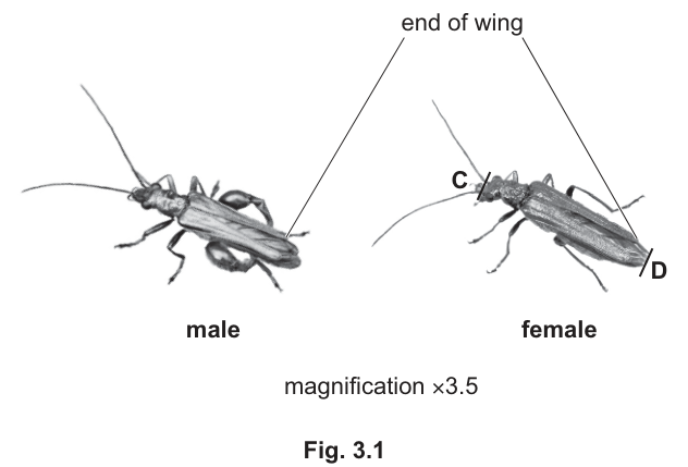 Fig. 3.1