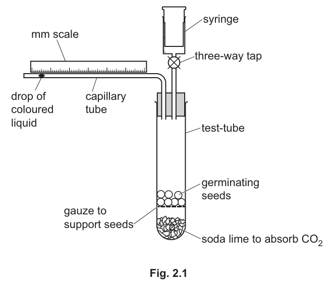 Fig. 2.1