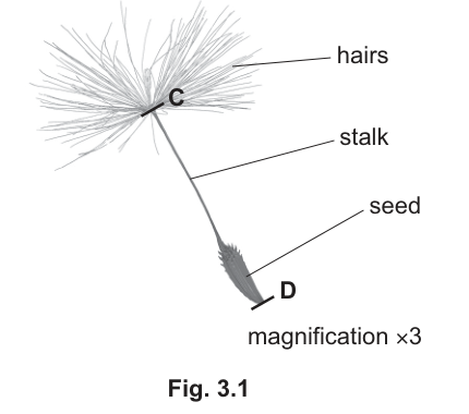 Fig. 3.1
