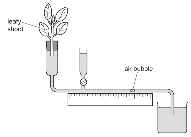 Fig. 7
