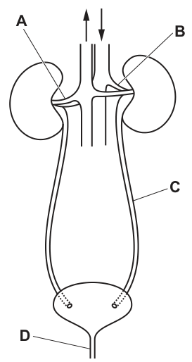 Fig. 9