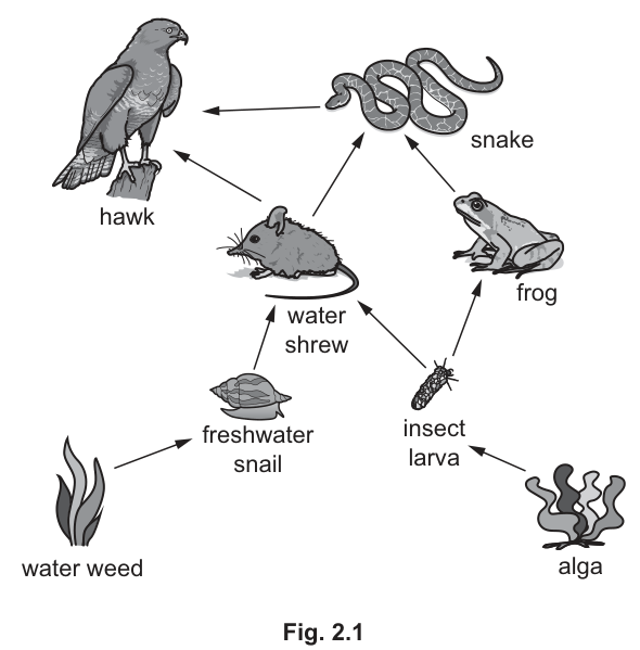 Fig. 2.1