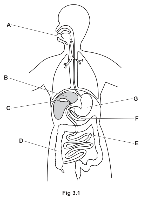 Fig. 3.1