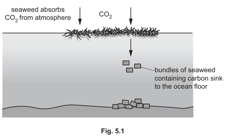 Fig. 5.1