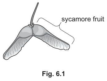 Fig. 6.1