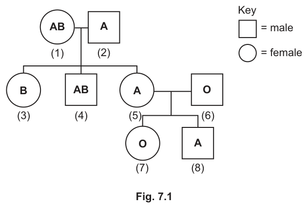 Fig. 7.1