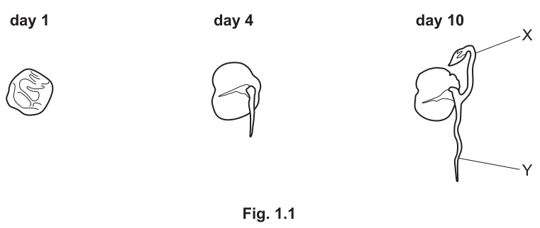 Fig. 1.1