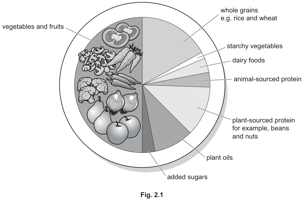 Fig. 2.1