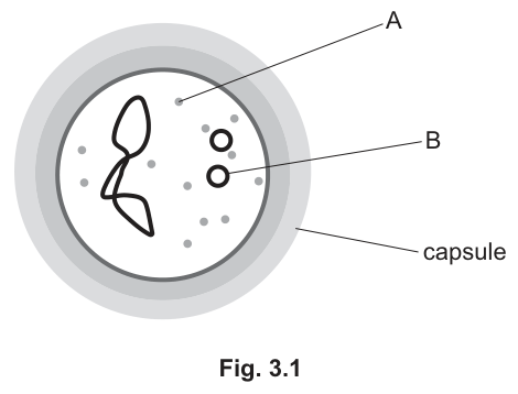 Fig. 3.1