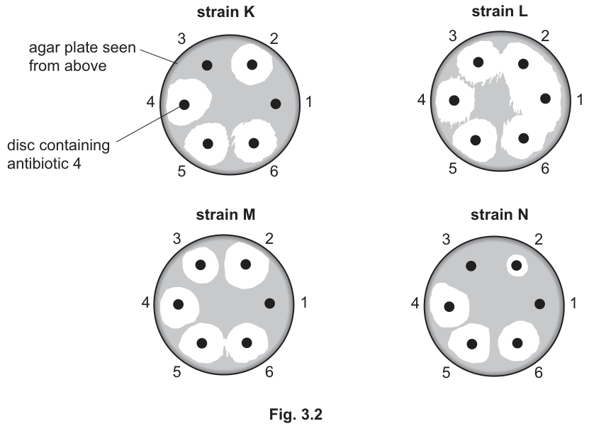 Fig. 3.2