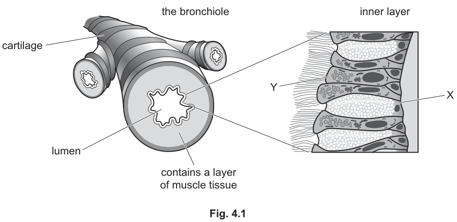 Fig. 4.1