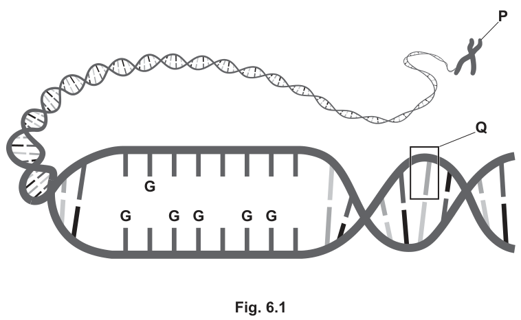 Fig. 6.1