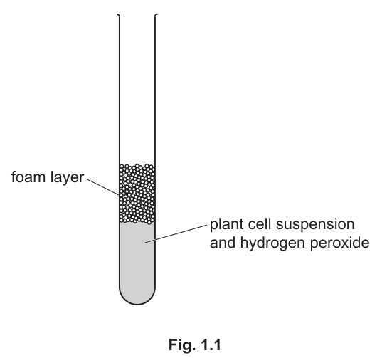 Fig. 1.1