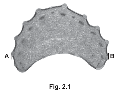 Fig. 2.1