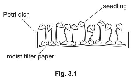 Fig. 3.1