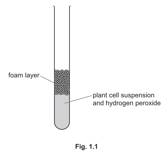 Fig. 1.1