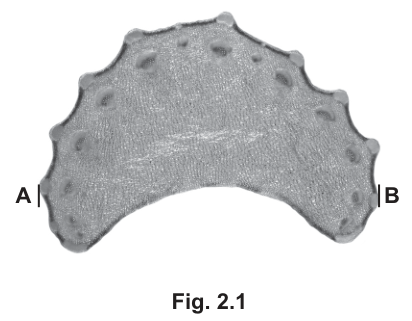 Fig. 2.1