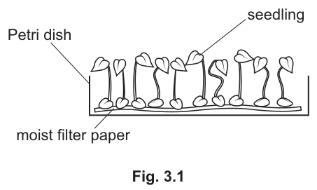 Fig. 3.1
