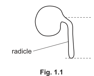 Fig. 1.1