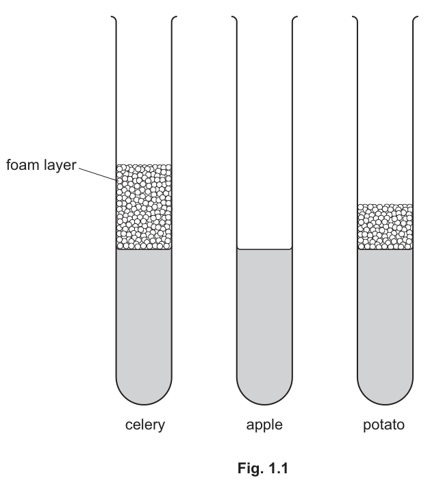 Fig. 1.1