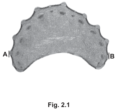 Fig. 2.1