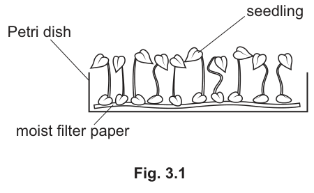 Fig. 3.1