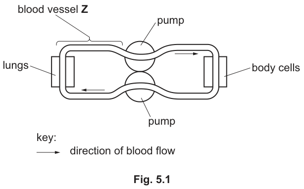 Fig. 5.1