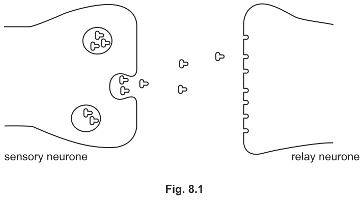 Fig. 8.1