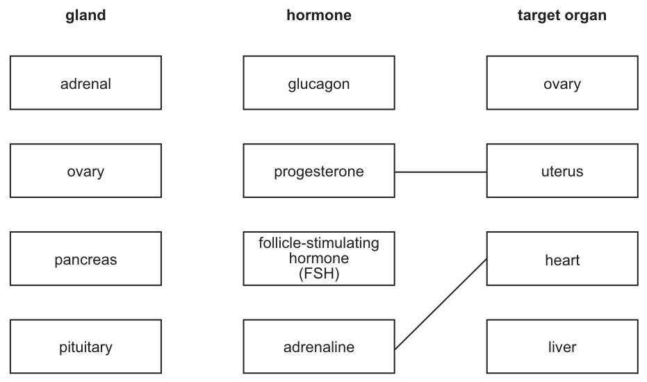 Fig. 1.1