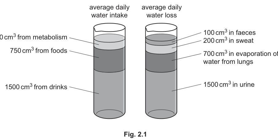 Fig. 2.1