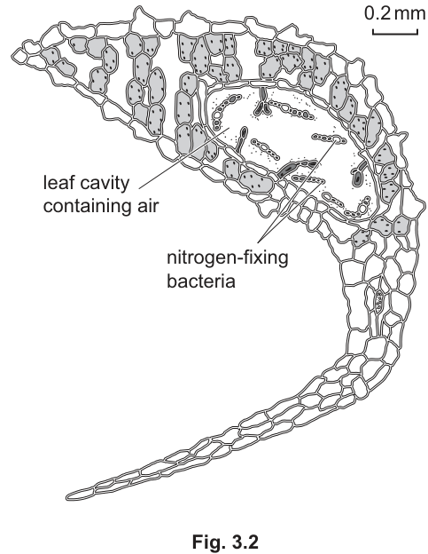 Fig. 3.2