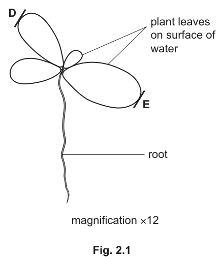 Fig. 2.1