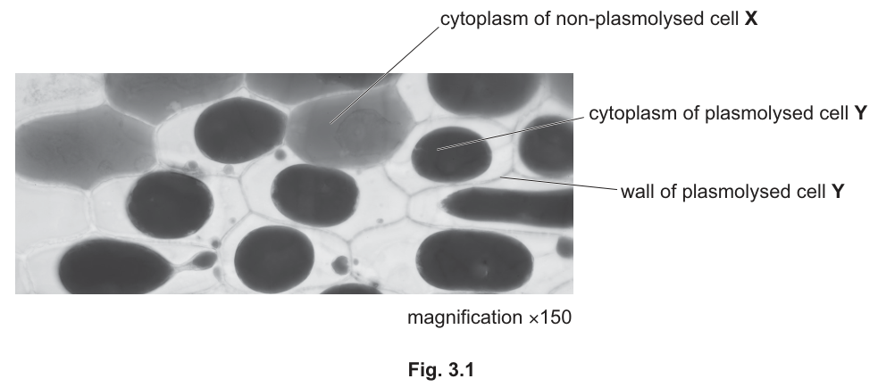 Fig. 3.1