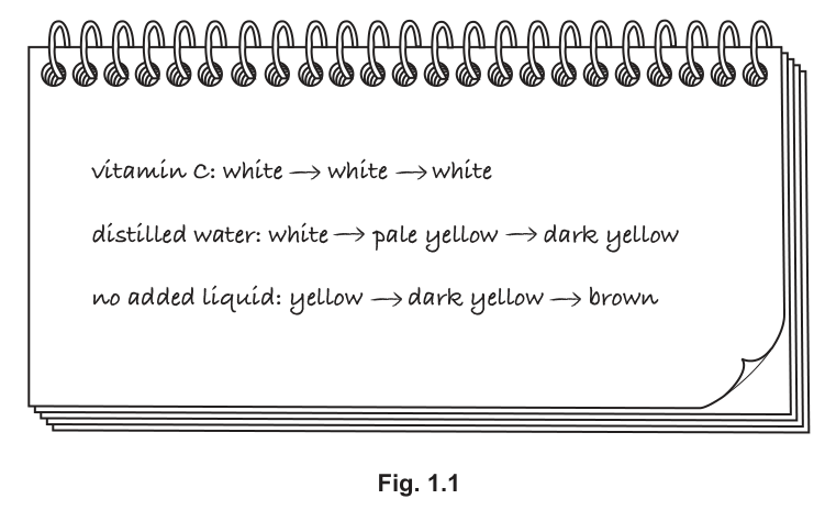 Fig. 1.1